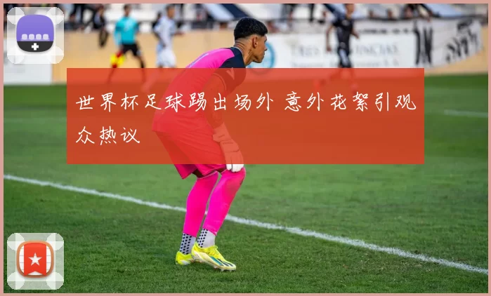 世界杯足球踢出场外 意外花絮引观众热议