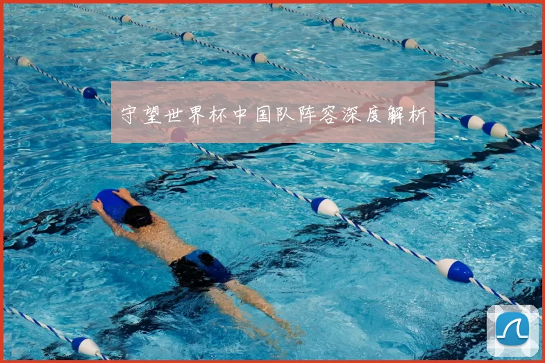 守望世界杯中国队阵容深度解析