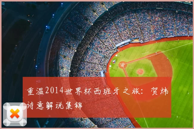 重温2014世界杯西班牙之旅：贺炜诗意解说集锦