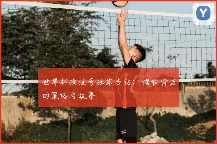 世界杯投注号独家专访：揭秘背后的策略与故事