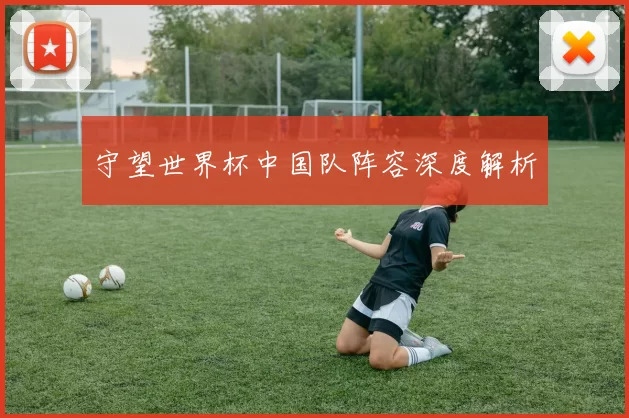 守望世界杯中国队阵容深度解析